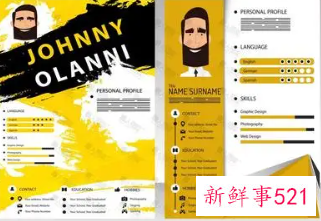 两大主流简历模式