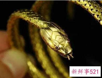 孕妇梦见黄金蛇是什么意思