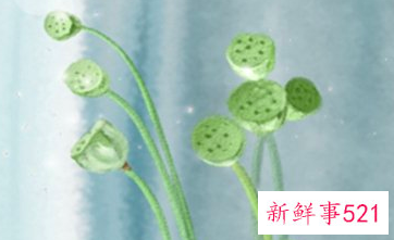 92年生属猴的卧室床怎么摆放