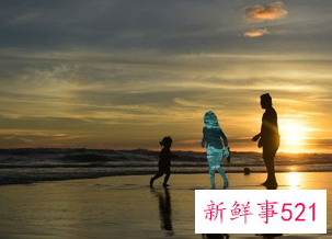 梦见缺席什么意思