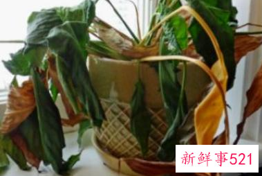 甲醛超标的10个征兆