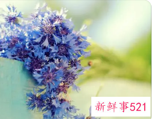 有创意搞笑昵称