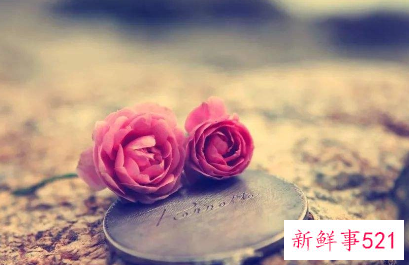 给对象留言最暖心的话