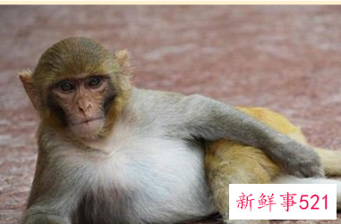 梦见别人借给我钱什么意思