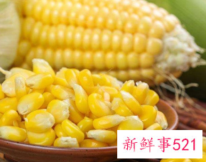 小麦和玉米哪个蛋白质含量高