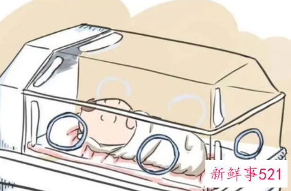 名人爱因斯坦早产