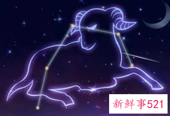 适合狮子座的星座是你吗