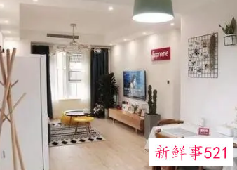 沙发和冰箱之间用什么隔断好呢