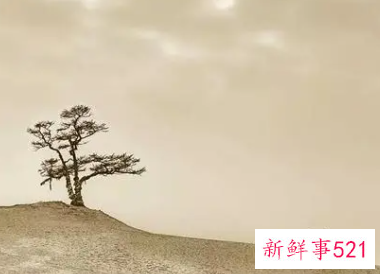 有情有义的经典语录名言