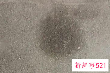 墙布时间长了会生螨虫