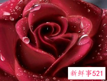 十二星座专属礼物