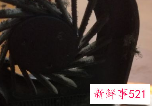 拆笔记本电脑步骤