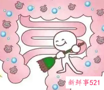 益生菌有哪些作用