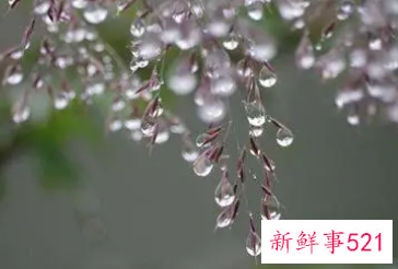 寒露和白露和霜降的区别