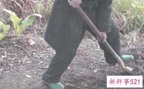 梦见种地耕田有什么寓意