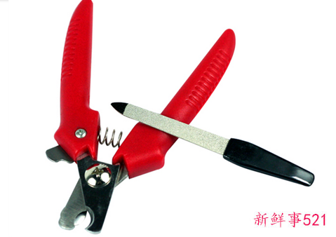 宠物狗狗日常美容护理用品有哪些