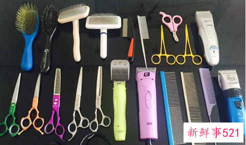 宠物狗狗日常美容护理用品有哪些