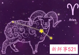 适合狮子座的星座是你吗