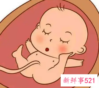 在妈妈肚子里一天顶外面一周吗