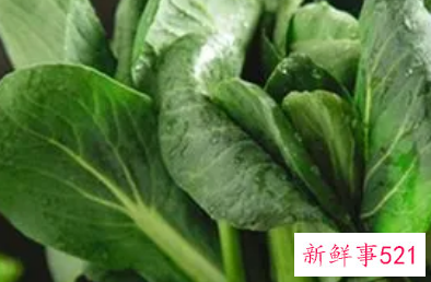 梦见菜心是什么意思