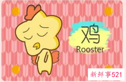 属鸡如何面对自己的不完美