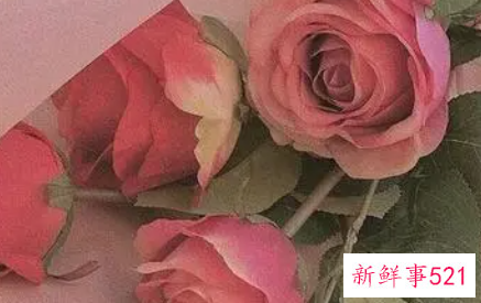 撩人的情话怎么说