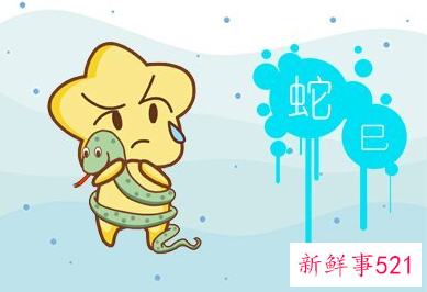 属蛇买几楼的选择