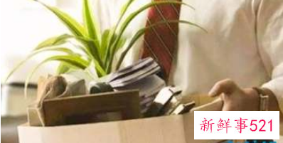 员工辞职报告单