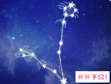 天生凤凰命的三大星座女