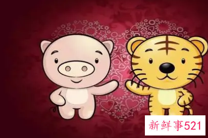 属虎男遇到属猪女好不好