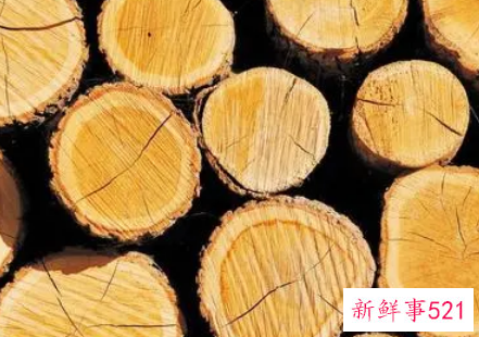 梦见木头木材有什么征兆