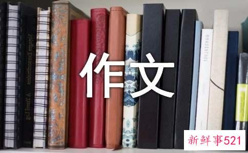 名字普查会作文