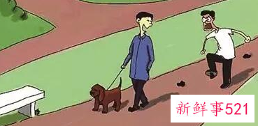 梦见狗屎代表什么意思