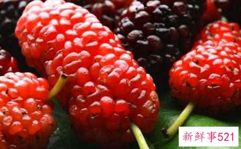 桑葚干补肾阳还是肾阴