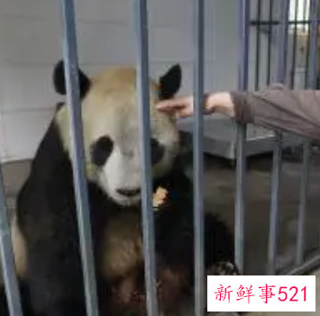 饲养员年度工作总结怎么写