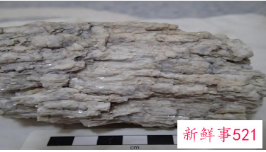 我国这处发现了“白色石油”！