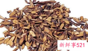 川桂枝的功效和作用