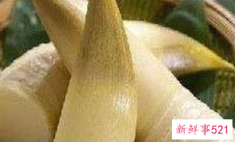 笋对女人的害处