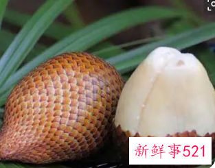 蛇皮果保质期多久蛇皮果怎么吃比较好呢