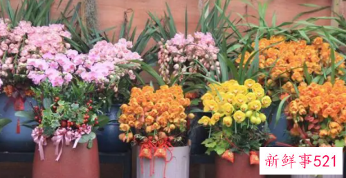 鲜花妙用助你平定敏感肌