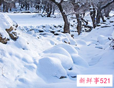 梦见地上好厚的积雪