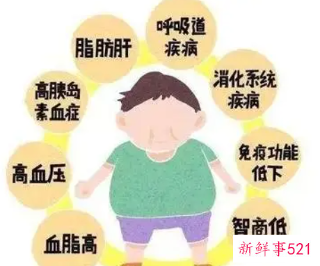 肥胖对身体的危害有哪些的