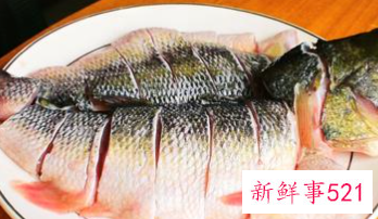 抗衰老最好的食物