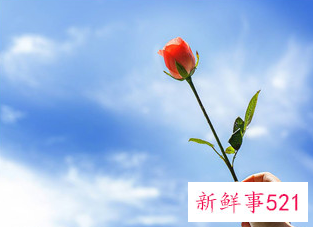 余生只有你的句子短句