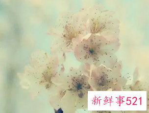 有创意搞笑昵称