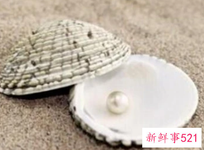 梦见捡珍珠有什么征兆