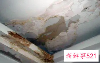 梦见卧室漏水了是什么征兆