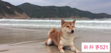 解决心情烦躁的方法