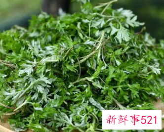 艾叶煮水的功效与作用