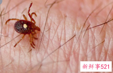 床上除螨小妙招